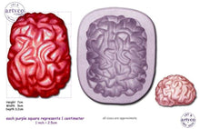 Brain Large Silicone Mold