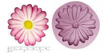 DAISIES x 3 Small, Large, Extra Large & Cupcake Topper from £7.50