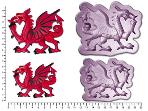 DRAGON Medium or Large from £10